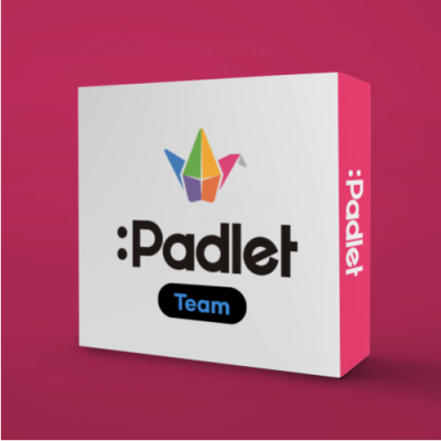 [패들렛] 패들렛 유료요금제(팀) Padlet(Team) 12개월 라이센스, 1유저